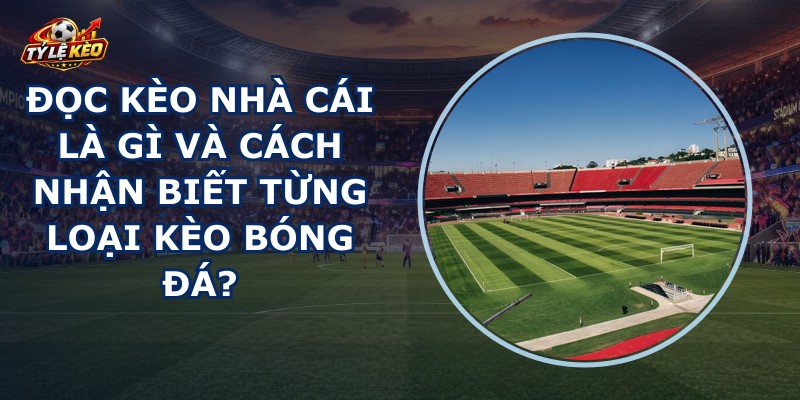 Đọc Kèo Nhà Cái
