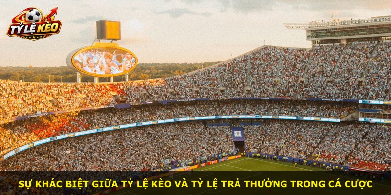 Sự khác biệt giữa tỷ lệ kèo và tỷ lệ trả thưởng trong cá cược