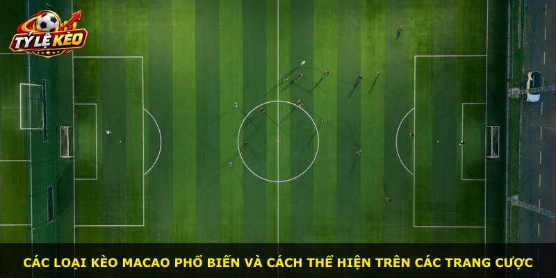 Các loại kèo Macao phổ biến và cách thể hiện trên các trang cược